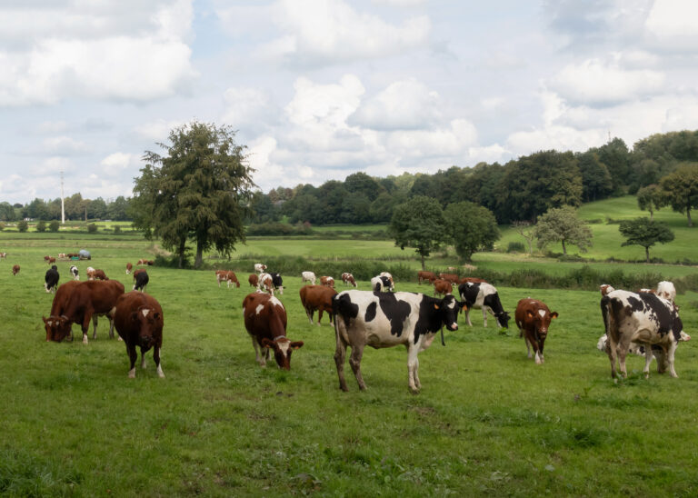 Réduire pesticides et engrais chimiques en accompagnant les agriculteurs